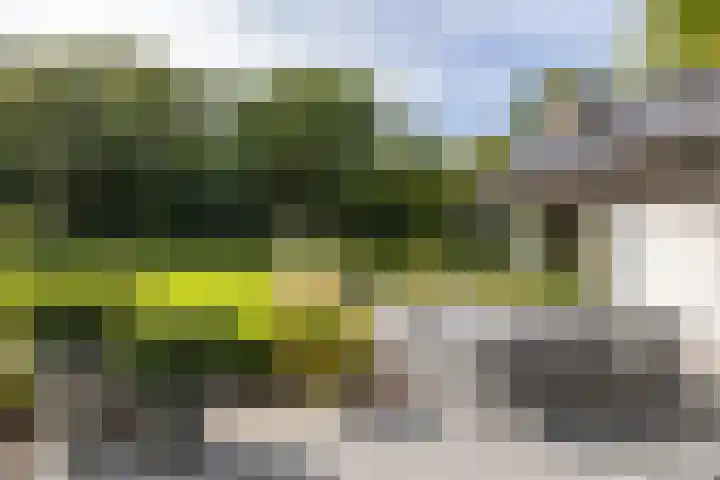 Dennenlaan 3 Zuidlaren thumbnail 21