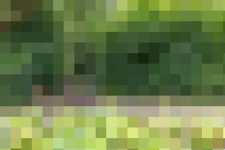 Dennenlaan 3 Zuidlaren thumbnail 22