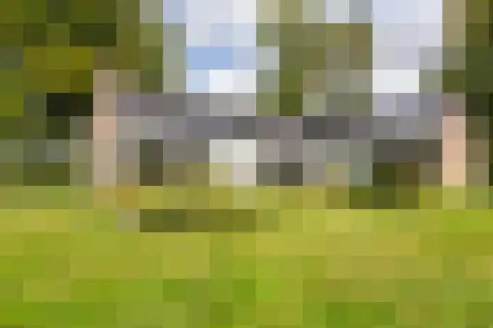 Dennenlaan 3 Zuidlaren thumbnail 23
