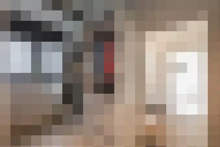 Dennenlaan 3 Zuidlaren thumbnail 26