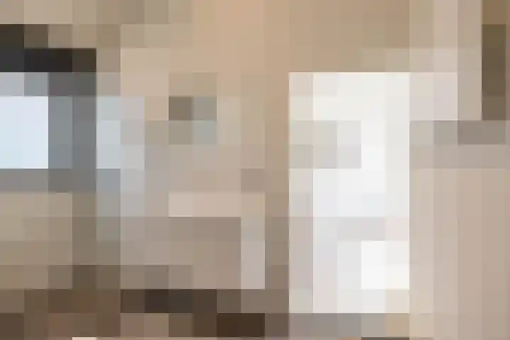Dennenlaan 3 Zuidlaren thumbnail 27
