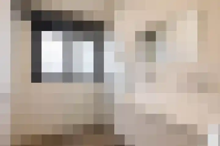 Dennenlaan 3 Zuidlaren thumbnail 28
