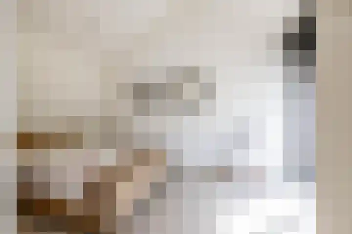 Dennenlaan 3 Zuidlaren thumbnail 30