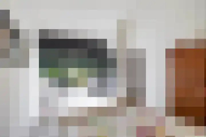 Dennenlaan 3 Zuidlaren thumbnail 31