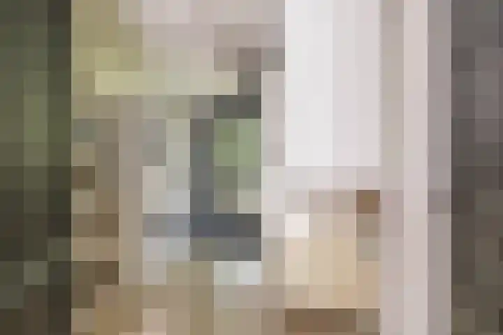 Dennenlaan 3 Zuidlaren thumbnail 33