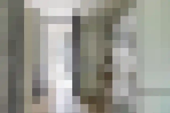 Dennenlaan 3 Zuidlaren thumbnail 34