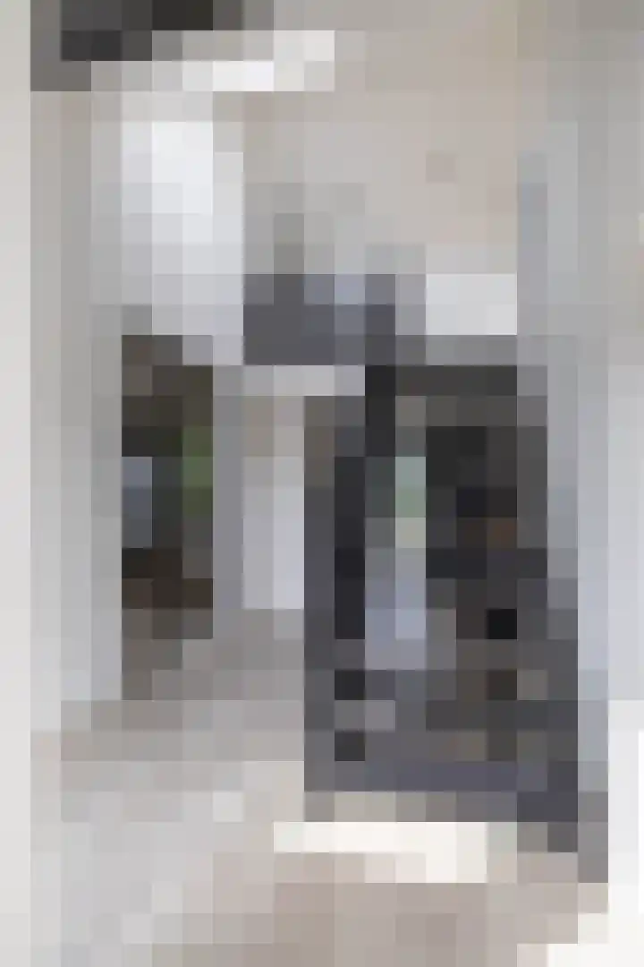 Dennenlaan 3 Zuidlaren thumbnail 35