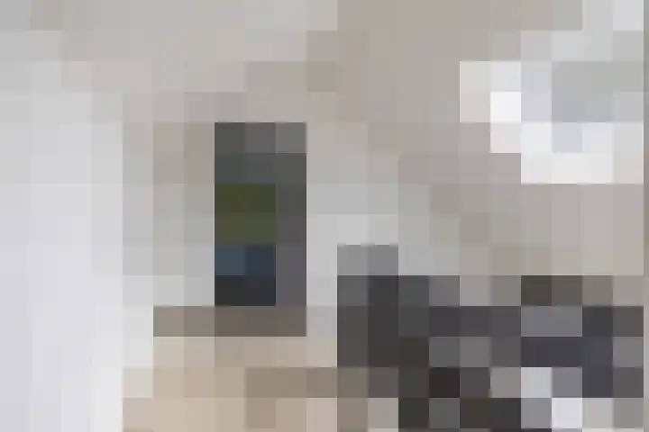 Dennenlaan 3 Zuidlaren thumbnail 36