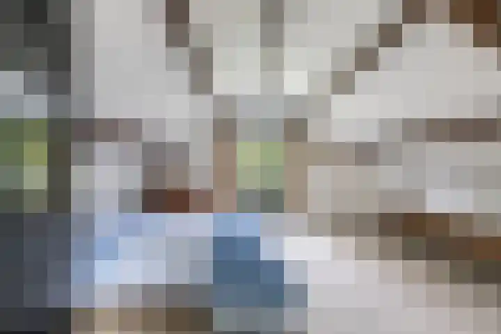 Dennenlaan 3 Zuidlaren thumbnail 37