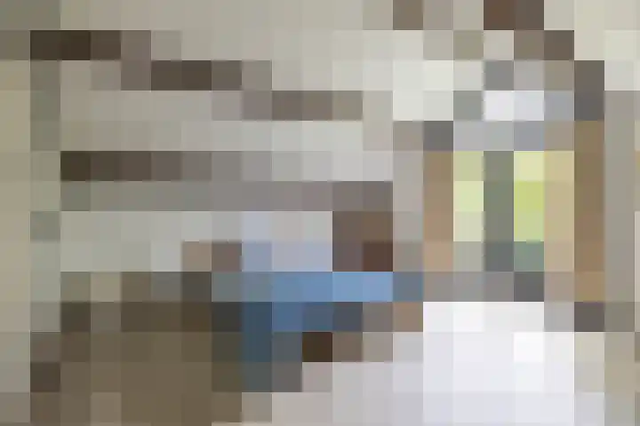 Dennenlaan 3 Zuidlaren thumbnail 38
