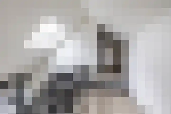 Dennenlaan 3 Zuidlaren thumbnail 39