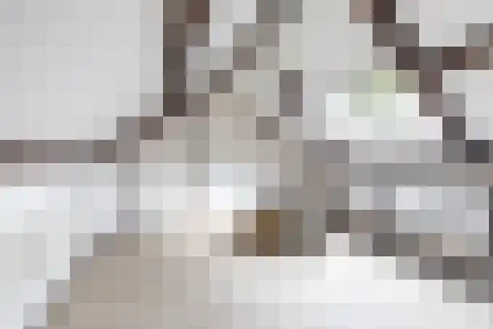 Dennenlaan 3 Zuidlaren thumbnail 44