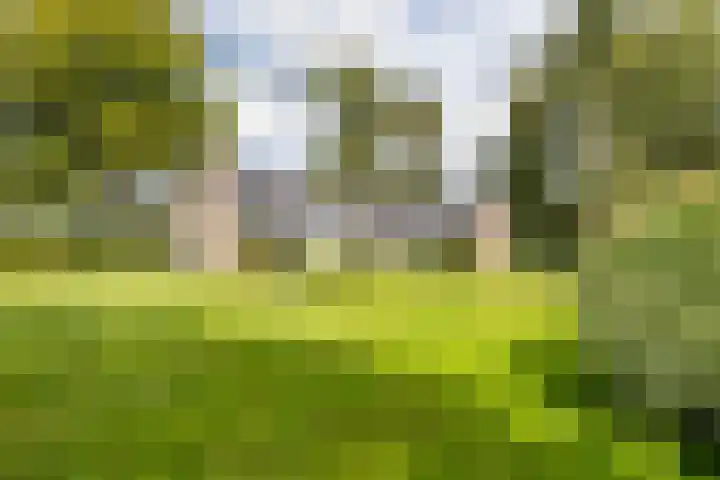 Dennenlaan 3 Zuidlaren thumbnail 45