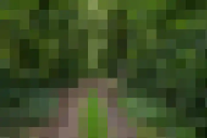 Dennenlaan 3 Zuidlaren thumbnail 46