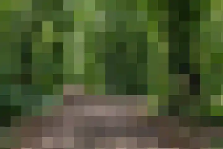Dennenlaan 3 Zuidlaren thumbnail 47