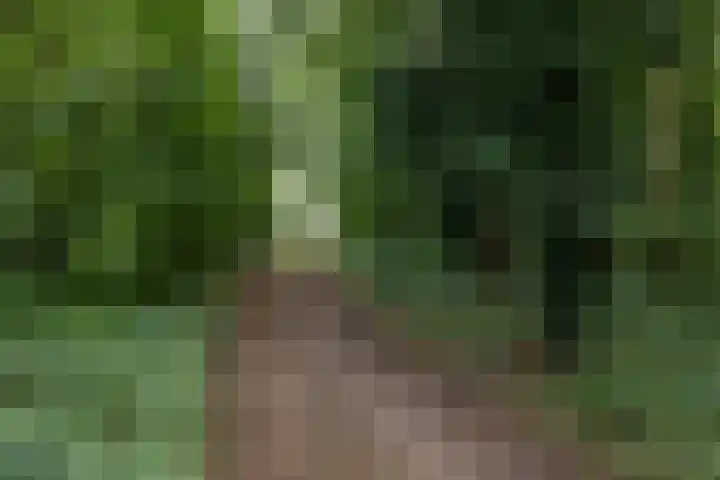 Dennenlaan 3 Zuidlaren thumbnail 48