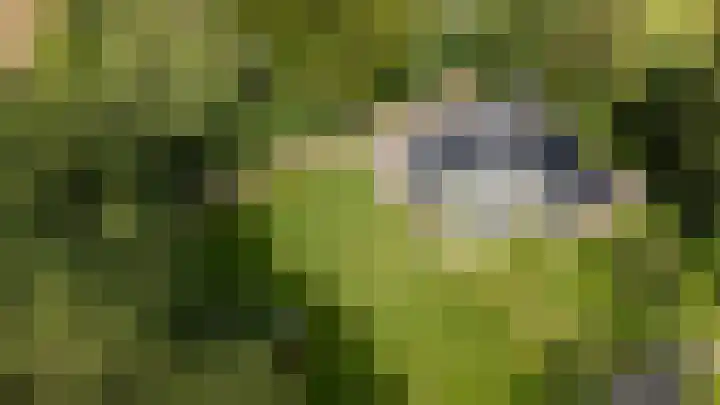 Dennenlaan 3 Zuidlaren thumbnail 49