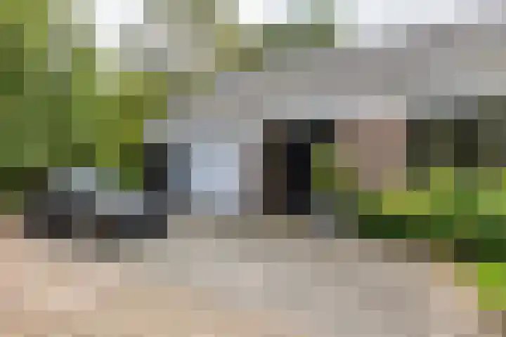 Dennenlaan 3 Zuidlaren thumbnail 6