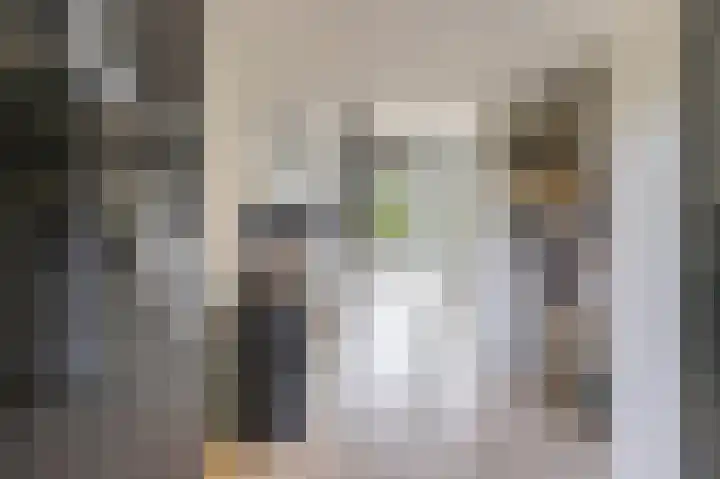 Dennenlaan 3 Zuidlaren thumbnail 7