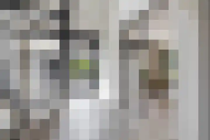Dennenlaan 3 Zuidlaren thumbnail 8