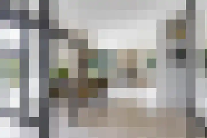 Dennenlaan 3 Zuidlaren thumbnail 9