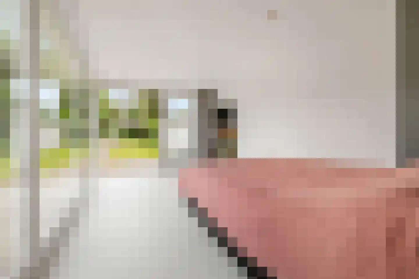 Dennenlaan 31 Hollandsche Rading thumbnail 22