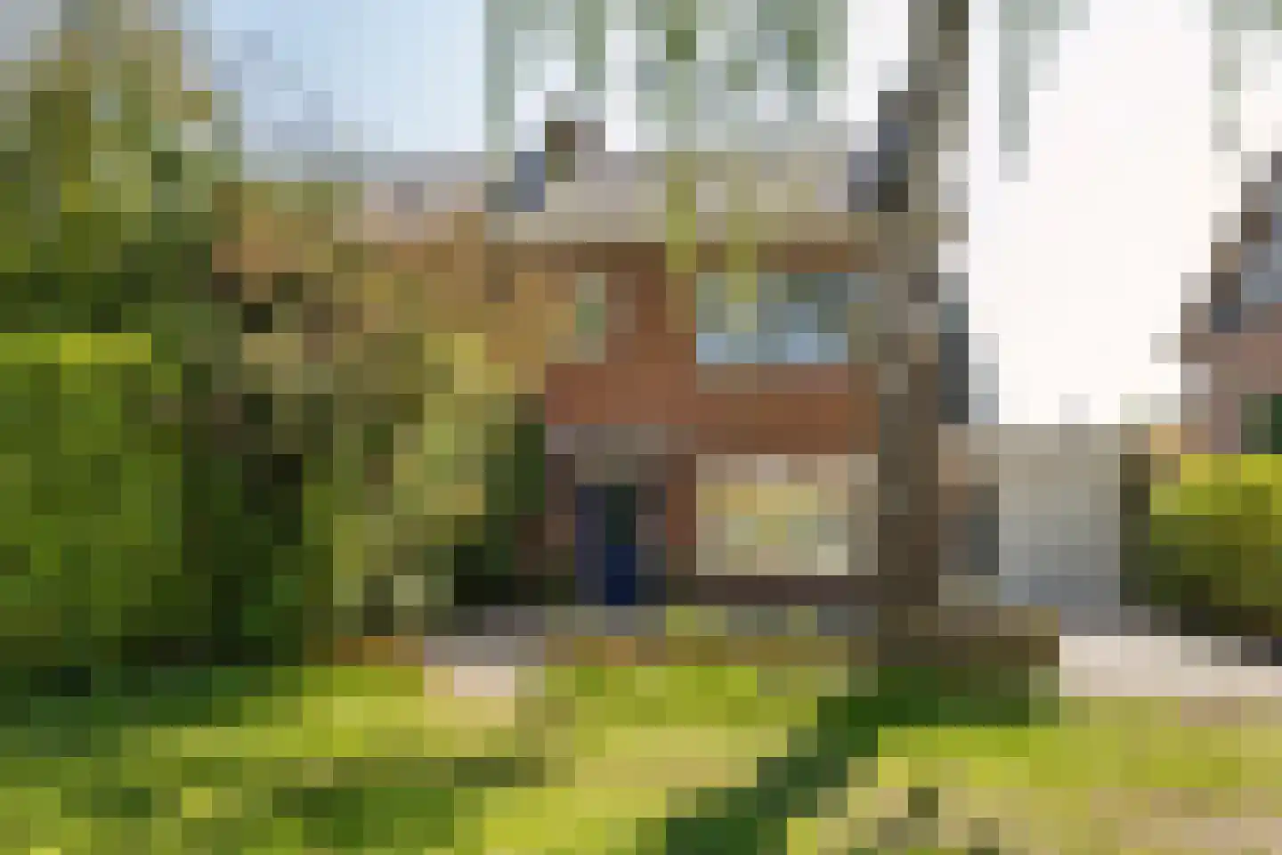 Dennenlaan 31 Hollandsche Rading thumbnail 4