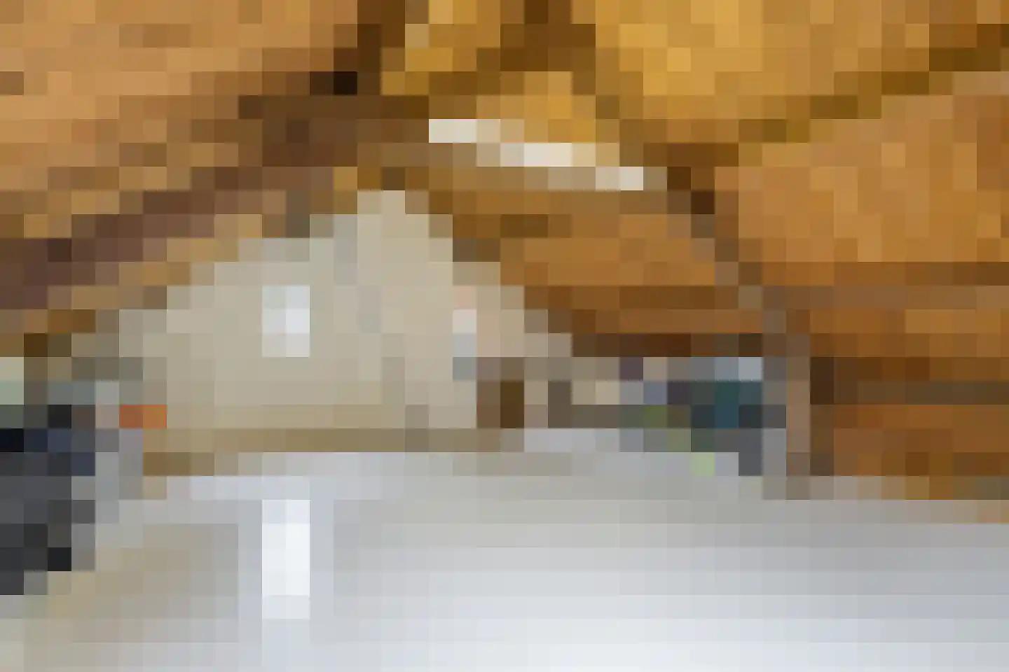 Dennenlaan 31 Hollandsche Rading thumbnail 40