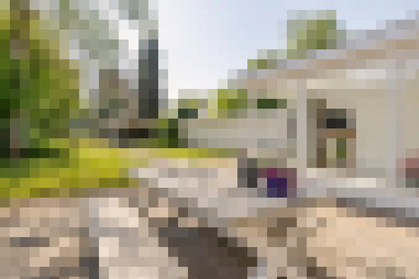 Dennenlaan 31 Hollandsche Rading thumbnail 42