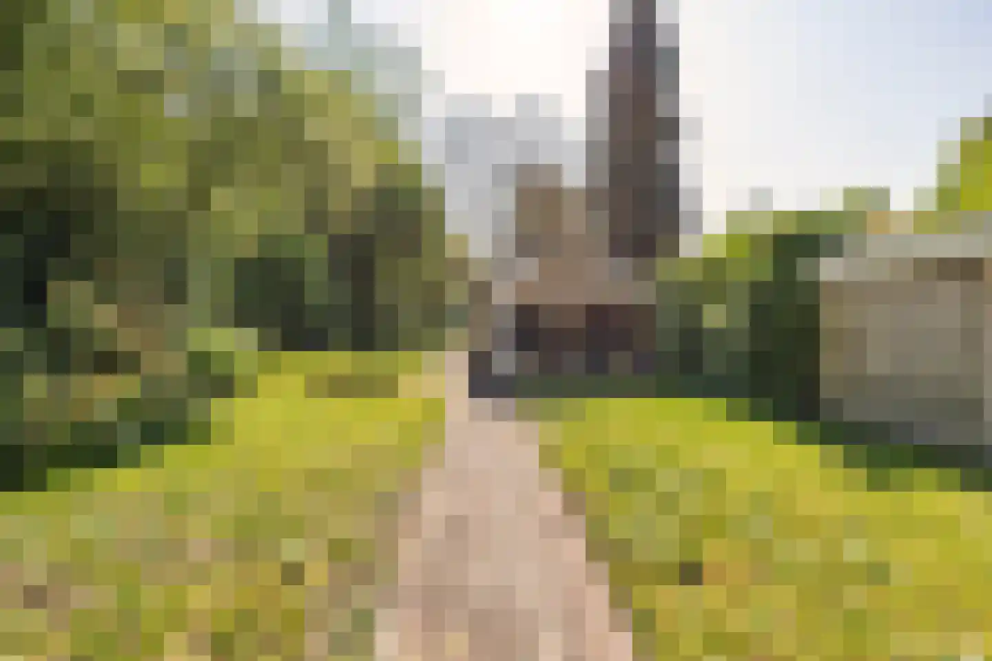 Dennenlaan 31 Hollandsche Rading thumbnail 46