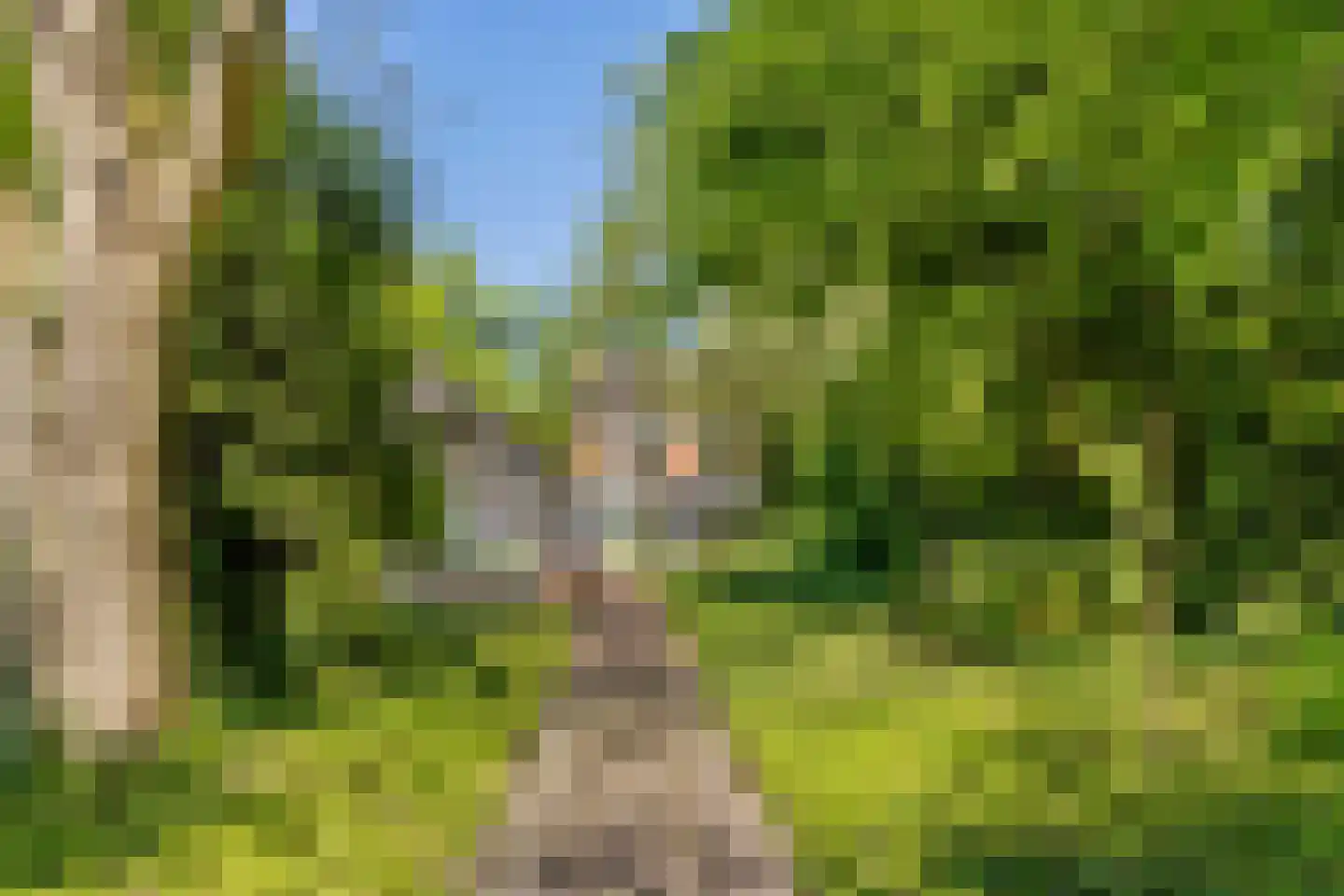 Dennenlaan 31 Hollandsche Rading thumbnail 48
