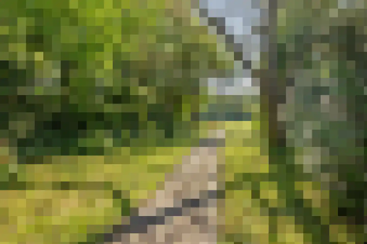 Dennenlaan 31 Hollandsche Rading thumbnail 49