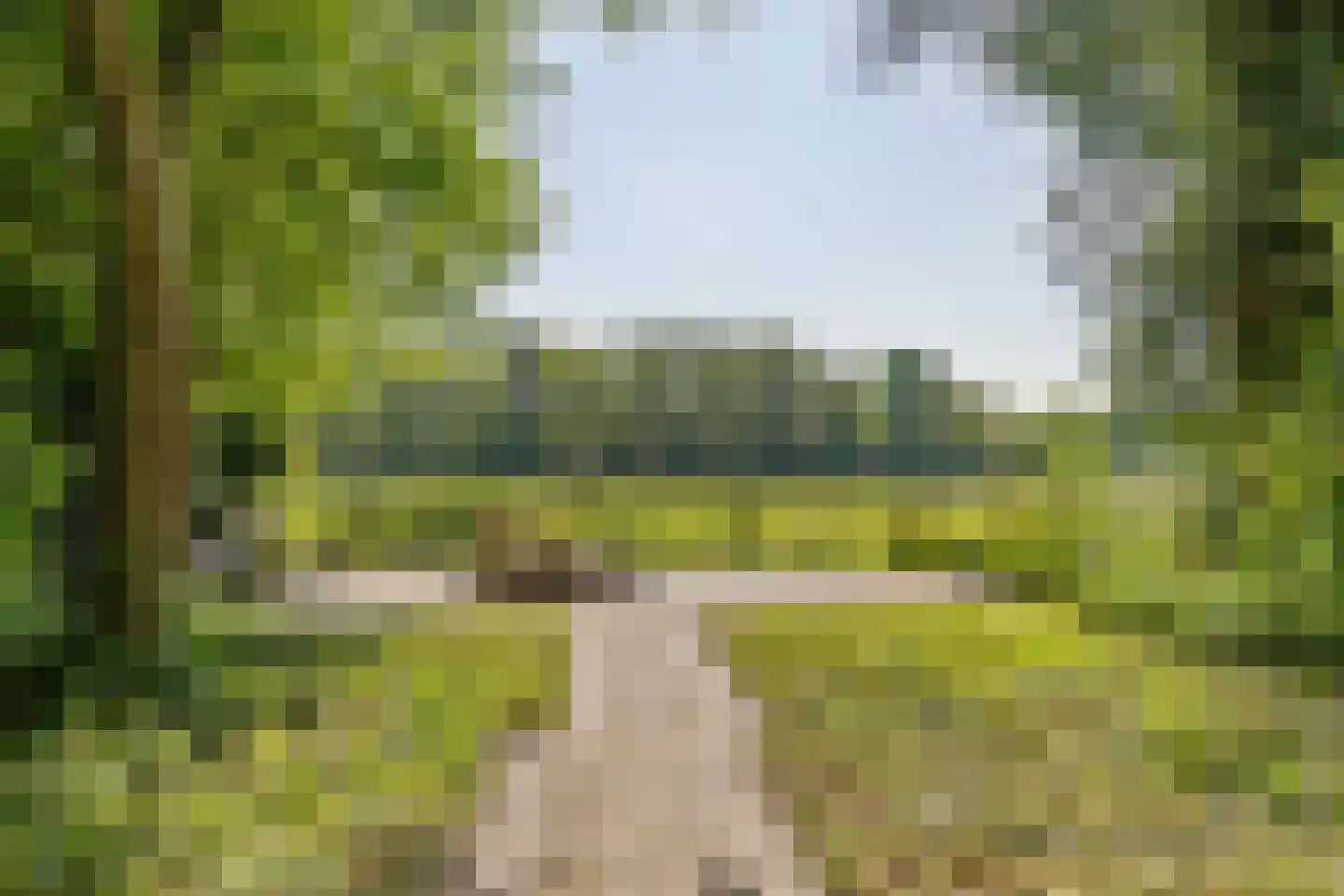 Dennenlaan 31 Hollandsche Rading thumbnail 50