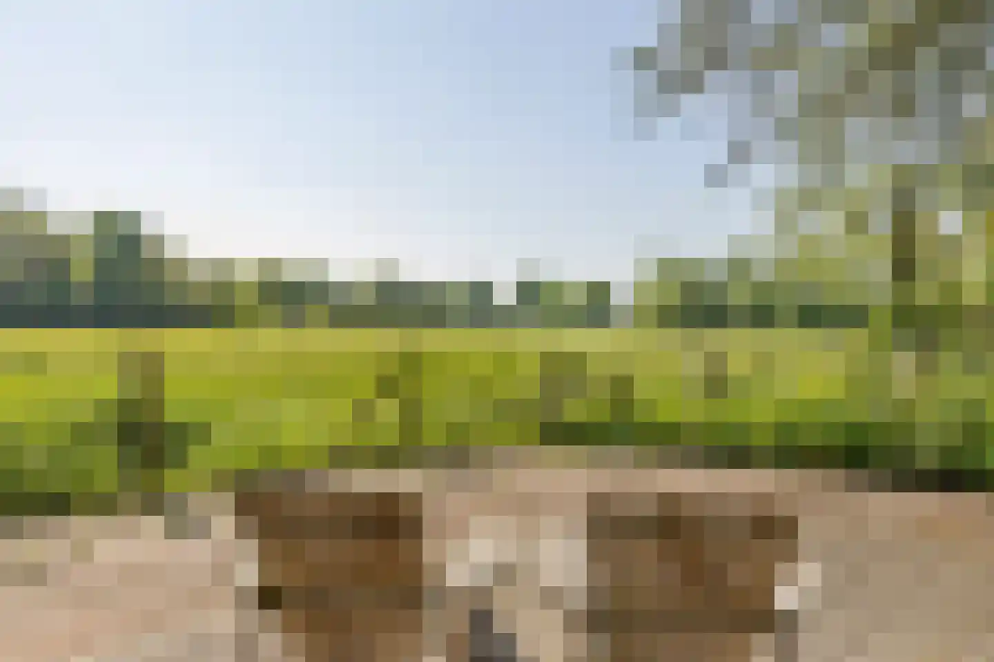 Dennenlaan 31 Hollandsche Rading thumbnail 51