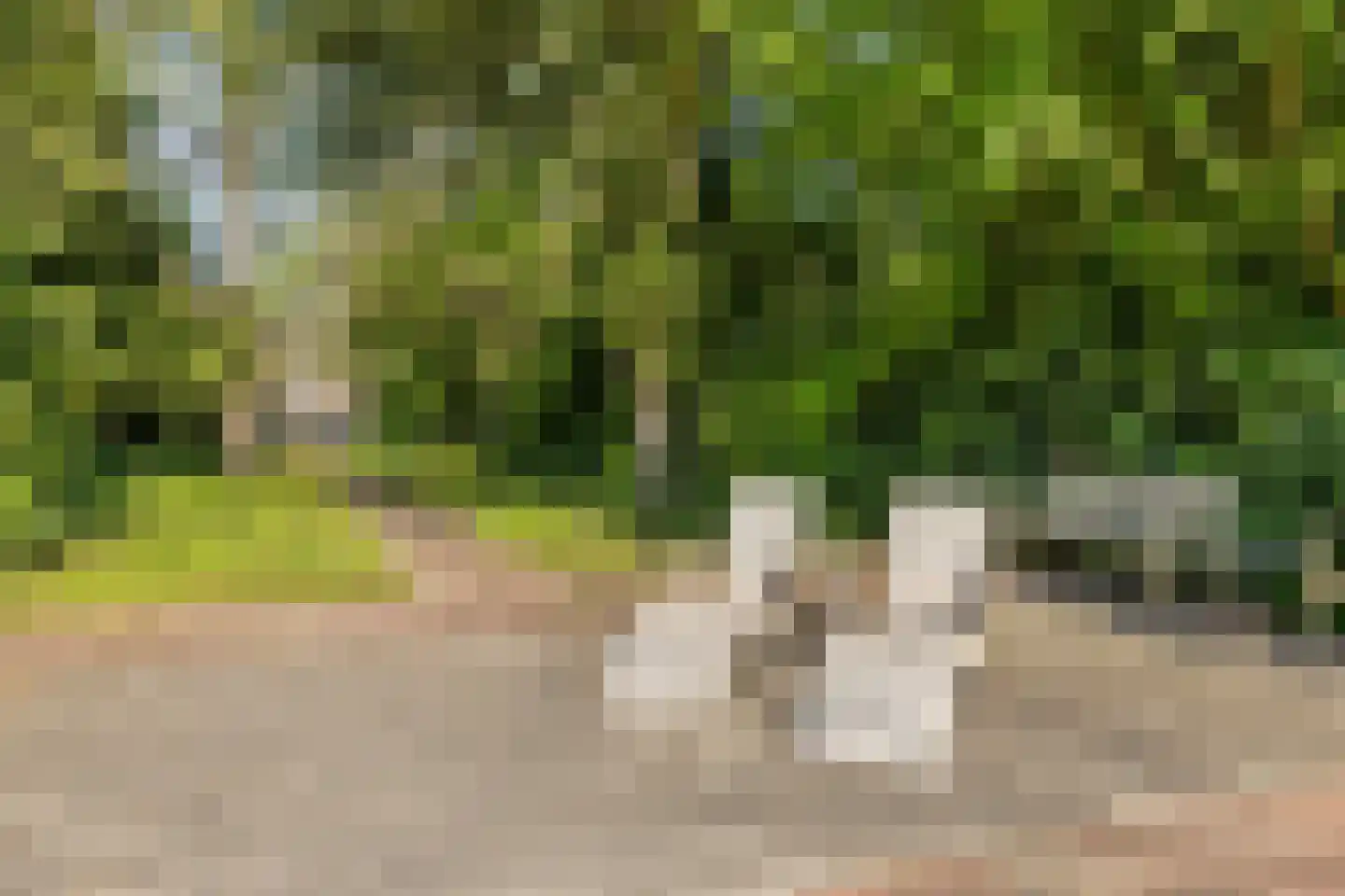 Dennenlaan 31 Hollandsche Rading thumbnail 52