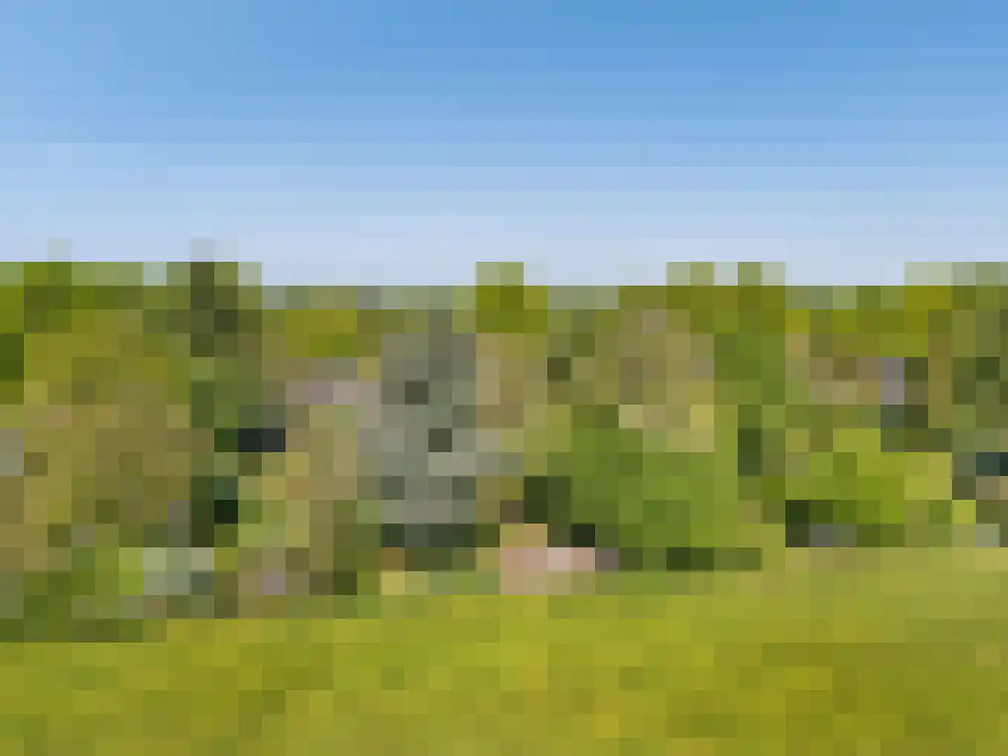 Dennenlaan 31 Hollandsche Rading thumbnail 53
