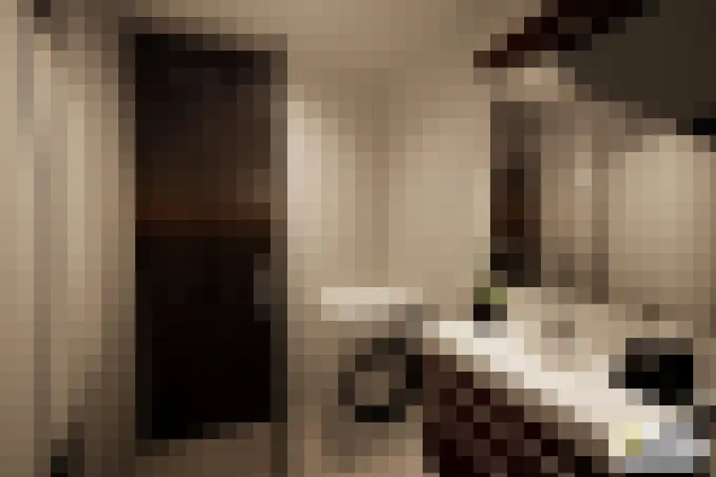 Dennenlaan 312 Ede thumbnail 18