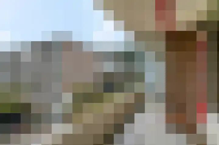 Dennenlaan 312 Ede thumbnail 21