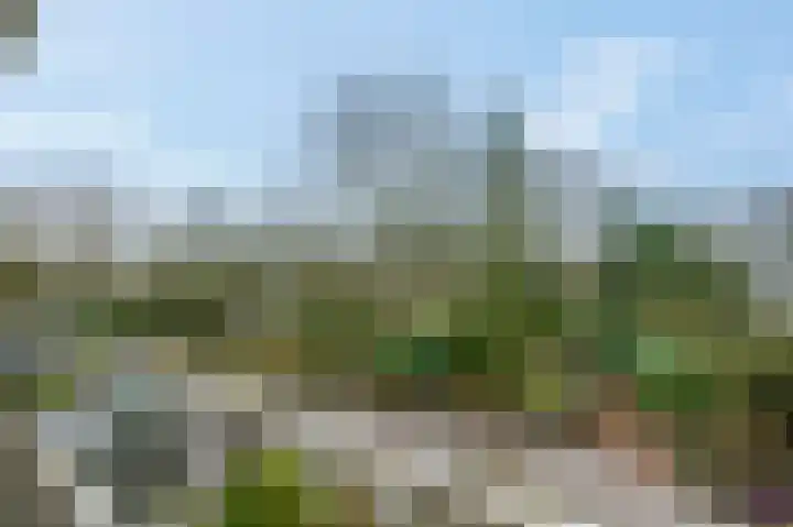 Dennenlaan 312 Ede thumbnail 22