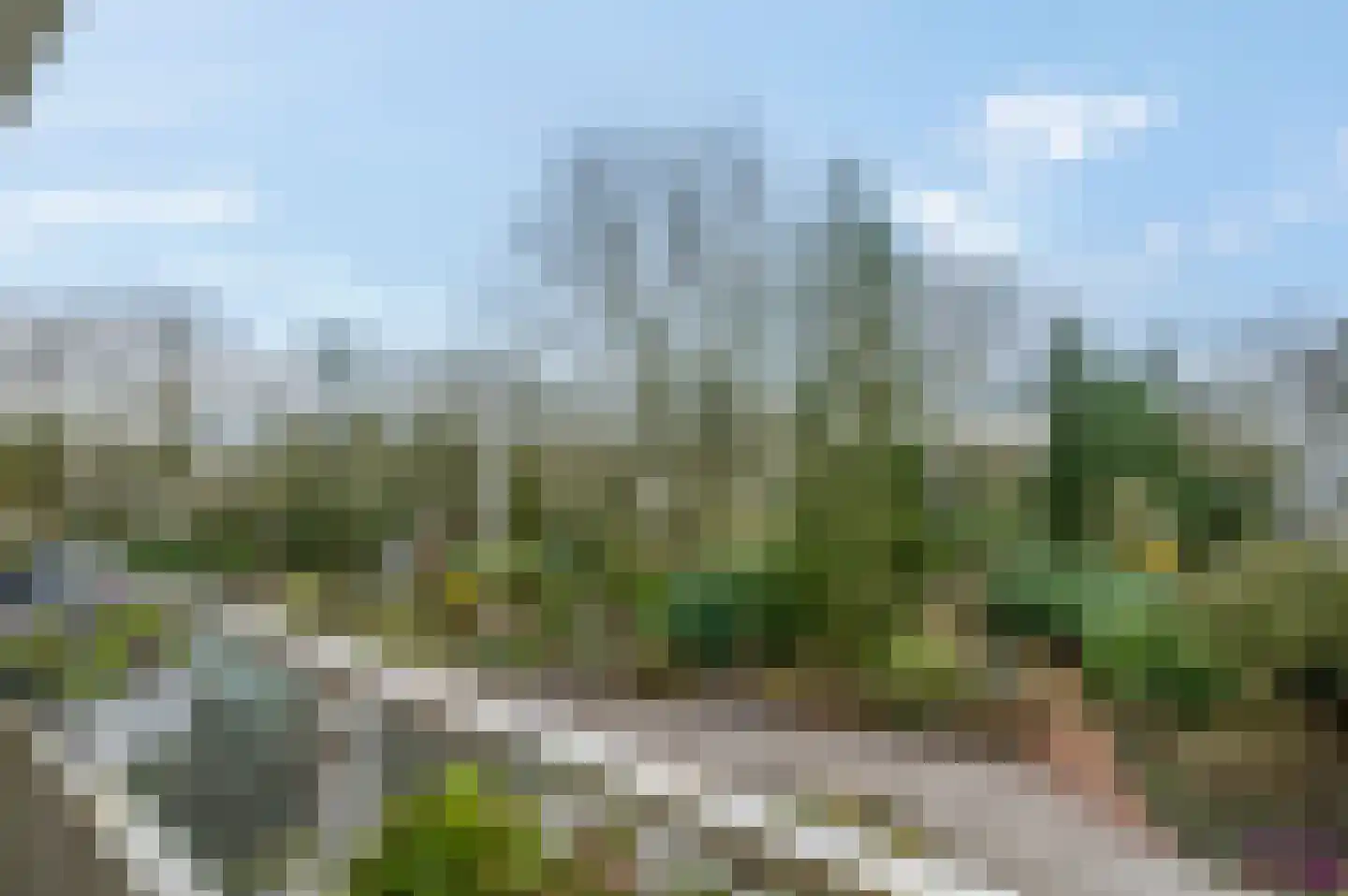 Dennenlaan 312 Ede thumbnail 22