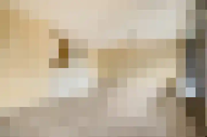 Dennenlaan 312 Ede thumbnail 7