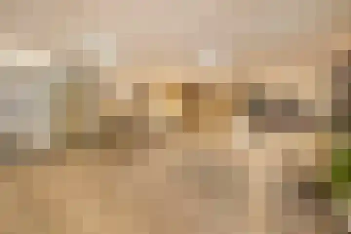 Dennenlaan 313 Ede thumbnail 26
