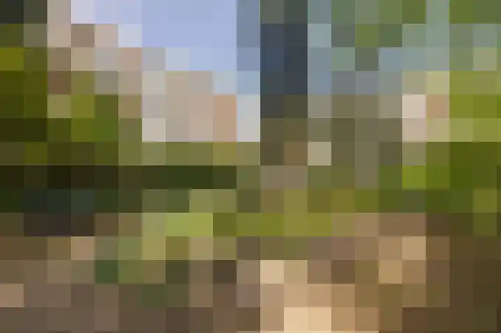 Dennenlaan 313 Ede thumbnail 33