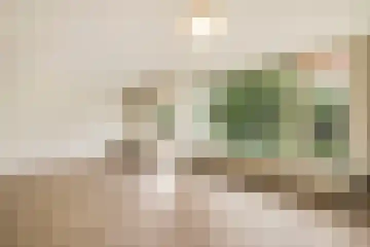 Dennenlaan 313 Ede thumbnail 5
