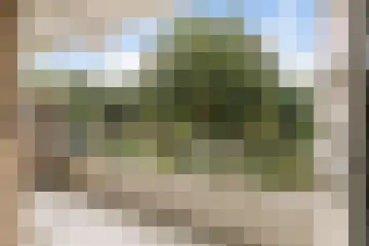 Dennenlaan 313 Ede thumbnail 6