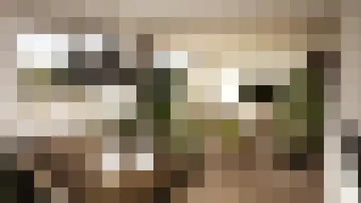 Dennenlaan 313 Ede thumbnail 8