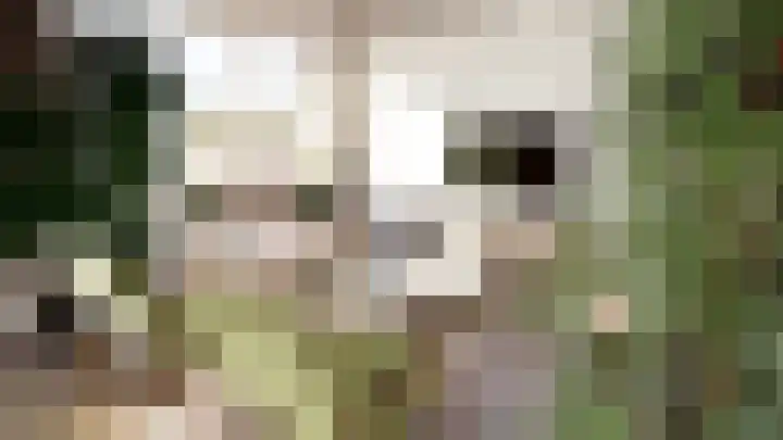 Dennenlaan 313 Ede thumbnail 9