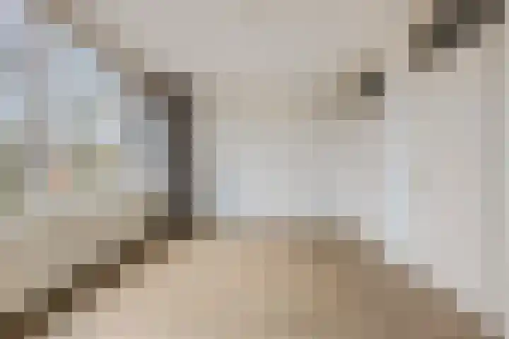 Dennenlaan 318 Ede thumbnail 19
