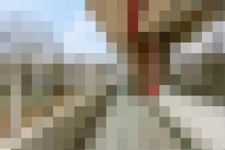 Dennenlaan 318 Ede thumbnail 25