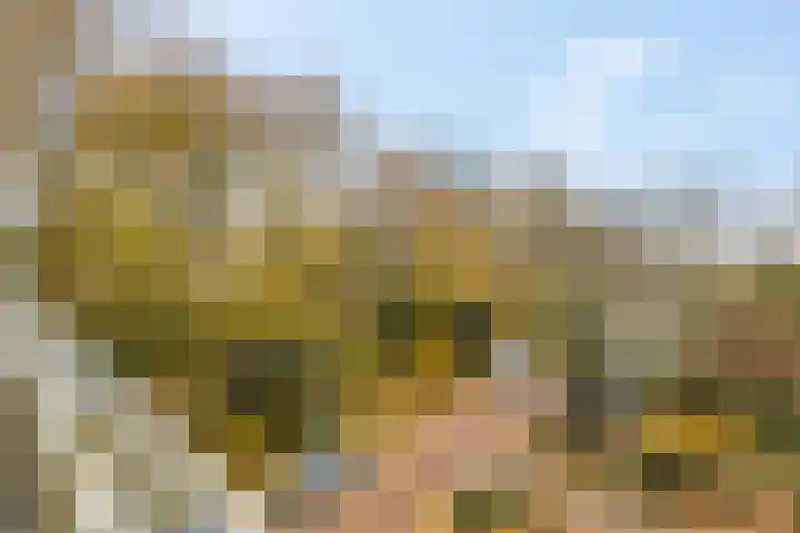 Dennenlaan 318 Ede thumbnail 27